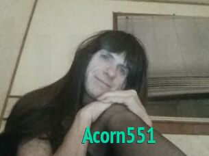 Acorn551