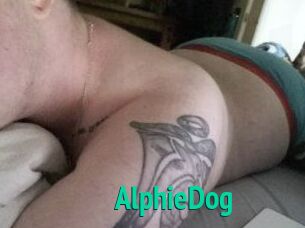 Alphie_Dog