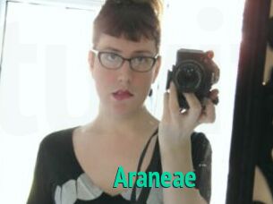 Araneae