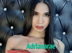 Adrianarae