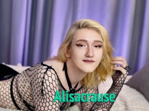 Alisacrause