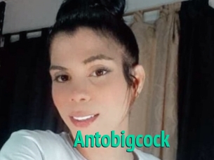 Antobigcock