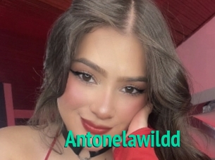 Antonelawildd