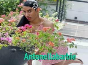 Antonellabarbie