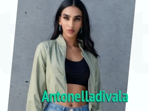 Antonelladivala