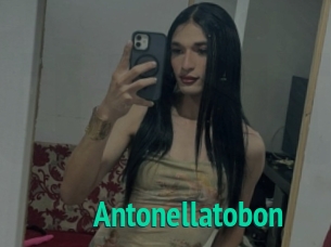 antonellatobon Tube video trans