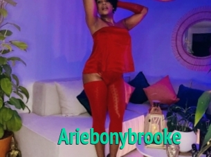 Ariebonybrooke