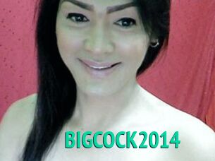 BIGCOCK2014