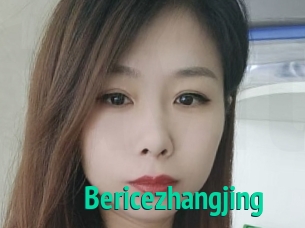 Bericezhangjing