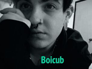 Boicub