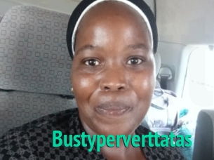 Bustyperverttatas