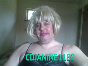 CDJANINE1182