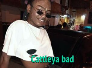 Cattleya_bad