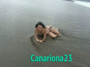 Canariona23