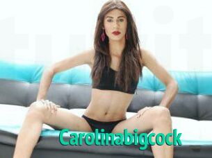 Carolinabigcock