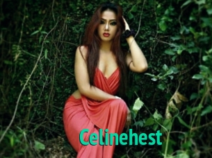 Celinehest