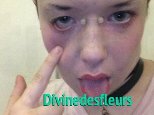 Divinedesfleurs