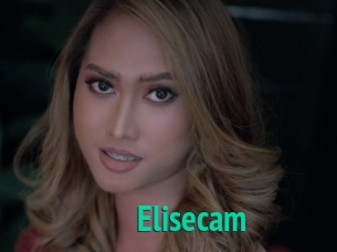 Elisecam