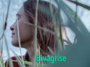 Elvagrise