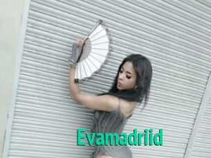Evamadriid