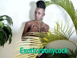 Exoticebonycock