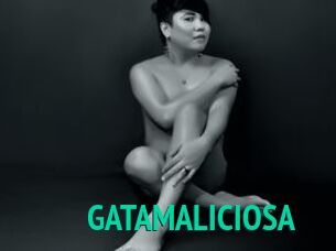 GATAMALICIOSA