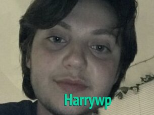 Harrywp