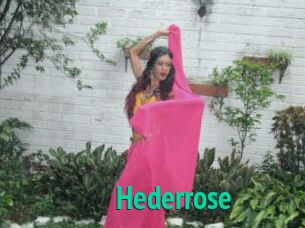 Hederrose