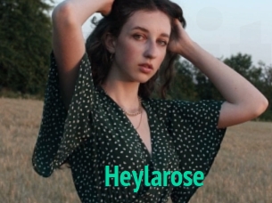Heylarose