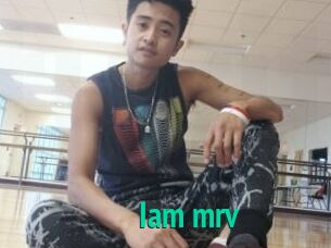 Iam_mrv