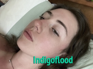 Indigoflood