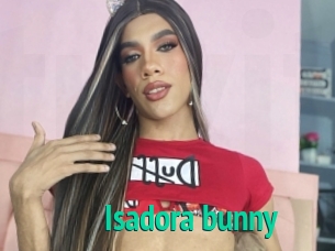 Isadora_bunny