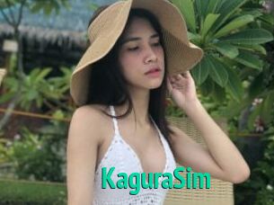 KaguraSim