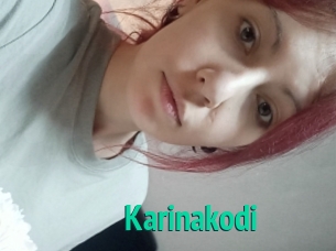 Karinakodi