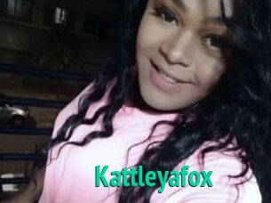 Kattleyafox