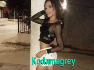 Kodamagrey