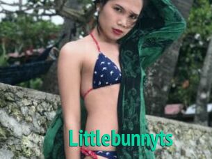 Littlebunnyts