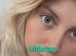 Littlesary