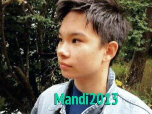 Mandi2013