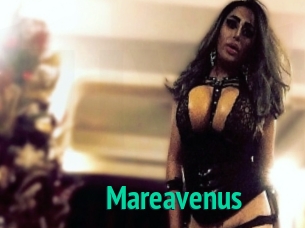 Mareavenus