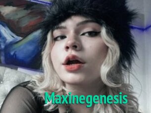 Maxinegenesis