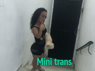 Mini_trans