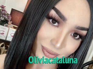 Oliviacataluna