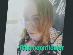 Palemoonflower