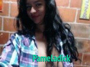 Pameladick
