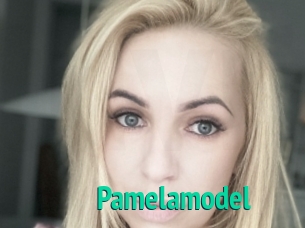 Pamelamodel