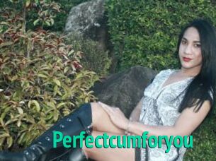 Perfectcumforyou