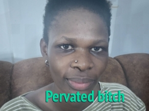 Pervated_bitch