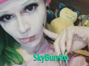 SkyBurrito