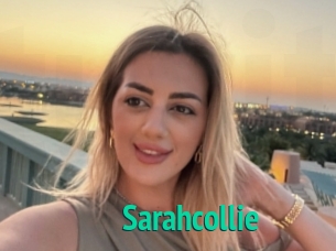 Sarahcollie